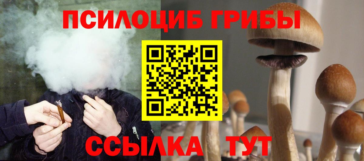 где продают   Вход с VPN  Ейск  Галлюциногенные грибы MAGIC MUSHROOMS 