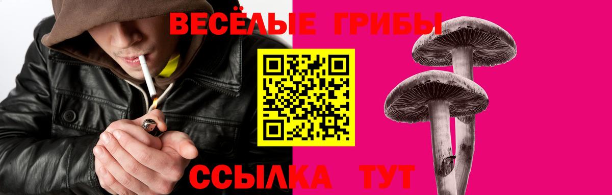 Псилоцибиновые грибы Psilocybine cubensis  Ейск 